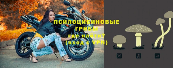 мет Балахна